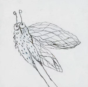 Holz-Bild-Objekte, Susanne Wolf-Ostermann